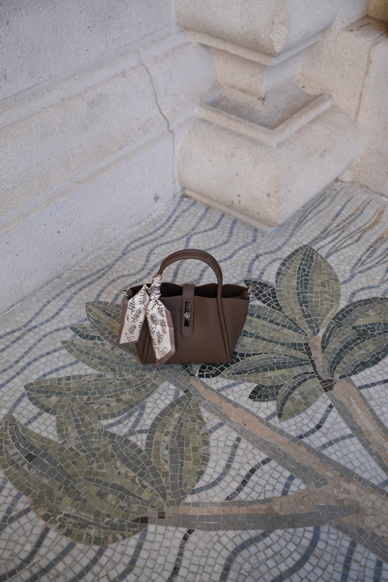 AVELLINE MINI BAG WITH INCLUDED STRAP